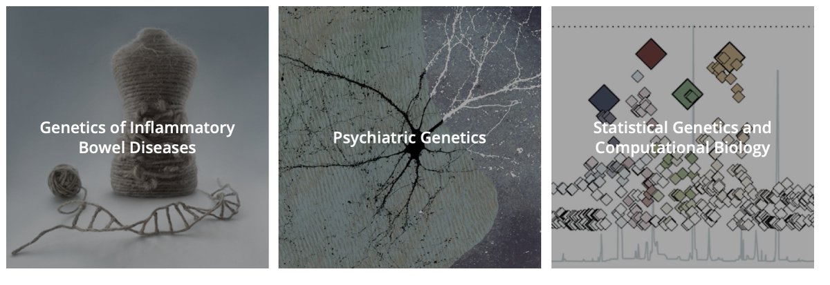 Hailiang Huang tweet media