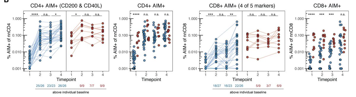 Firstly, T-cells that specifically respond to SARS-CoV-2 DO get activated by these vaccines! Researchers saw priming of both CD4+ and CD8+ T-cells with mRNA vaccination. CD4+ response wasn’t only rapid, it was universal. All participants responded after their 1st dose regardless