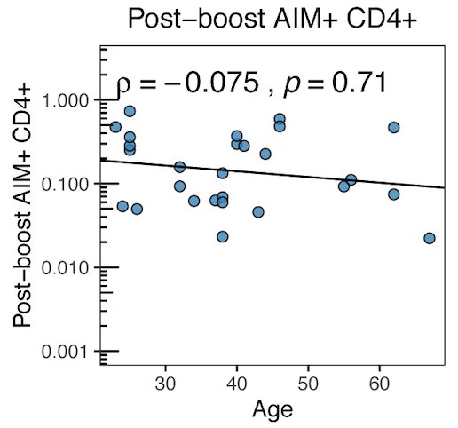 of CD8+ cells occurred for recovered individuals. Another important point was that researchers saw NO decline in T-cell responses regardless of age! Just because antibody (B-cell) response may not be high for some DOES NOT mean your T-cells won’t be there to protect you!