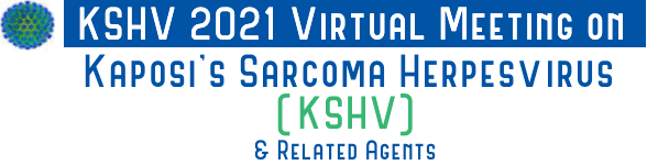 28th Int'l Workshop on KSHV & Related Agents tweet media