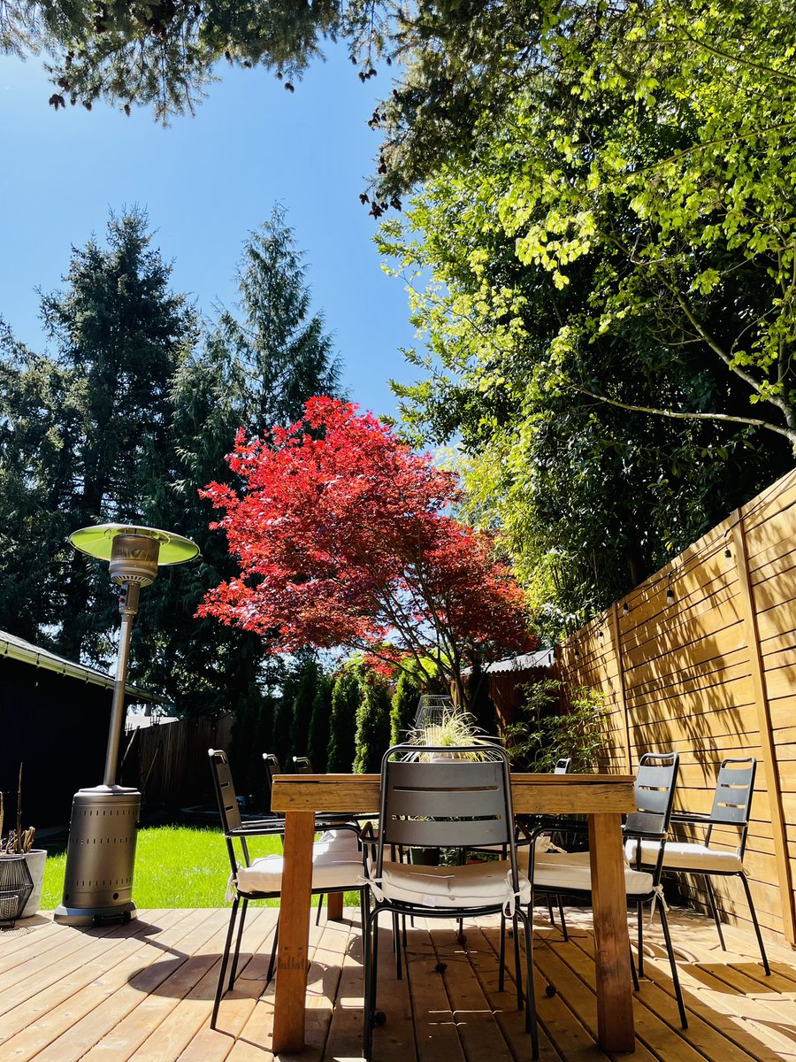 Home Office Vibes 🙌🙌 

This was from last week, if you know Oregon, you know it’s raining today 😂 gotta take advantage of the SunBreaks ☀️ 🏝

#Allin #homeoffice #backyard