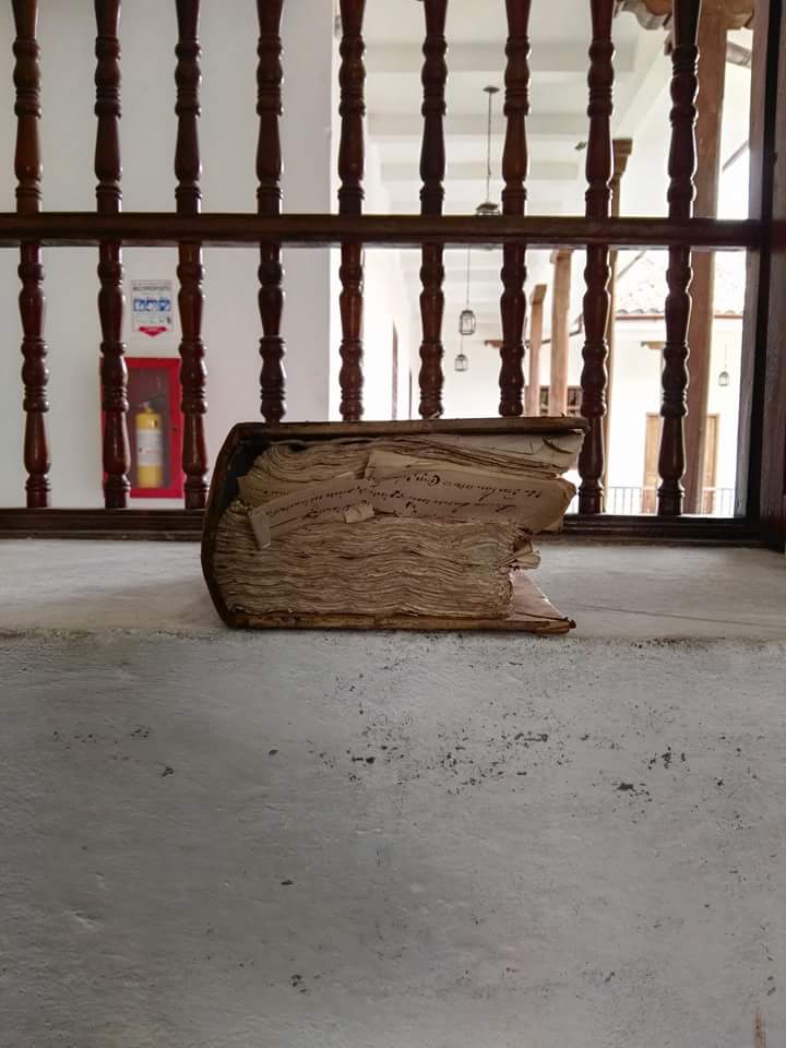 Neogranadina tweet media