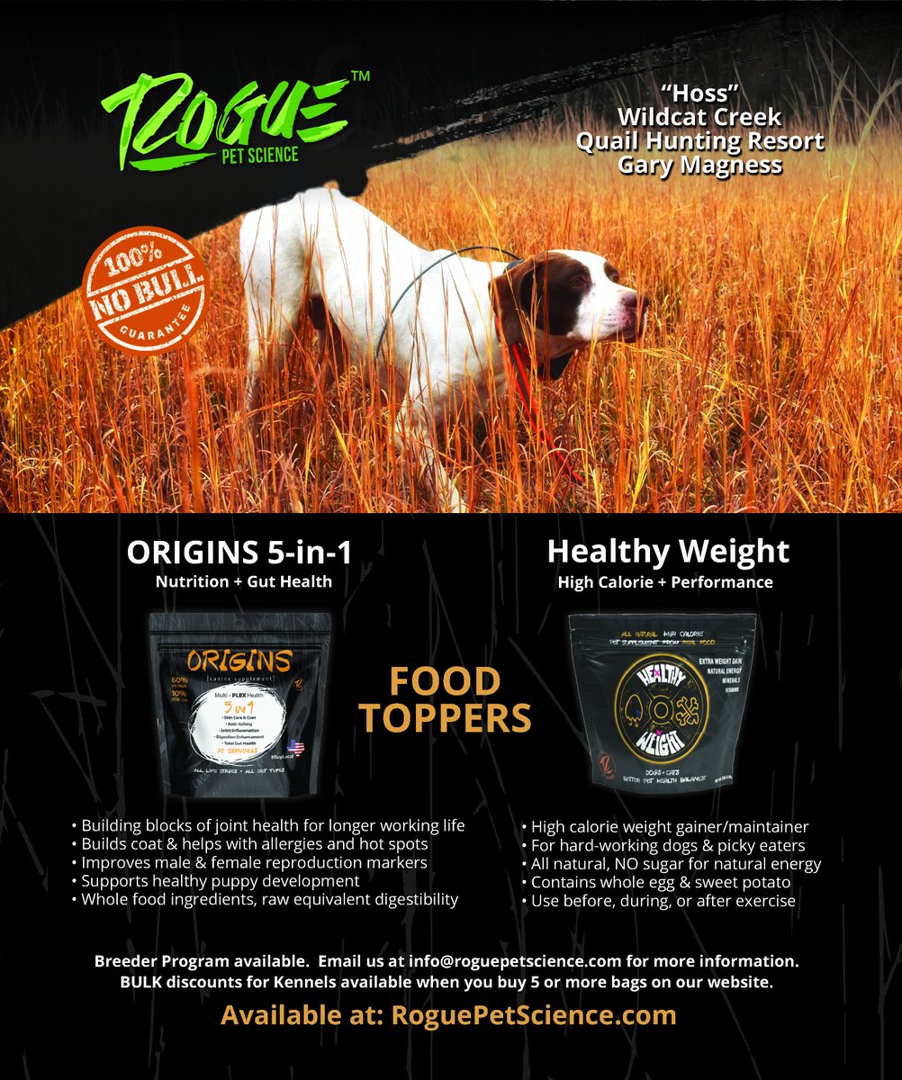 RoguePetScience's tweet image. We are super excited to be in the next issue of GUN DOG MAGAZINE, featuring Origins 5in1 and Healthy Weight. Look for us there if you subscribe!

#GunDogMag #BirdDog #GunDogMagazine #GunDog
