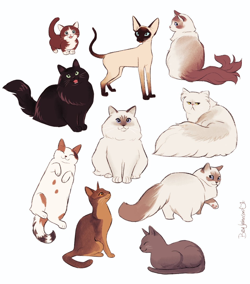 beverlylove's tweet photo. cat cat cat https://t.co/UO9e4jIVXM