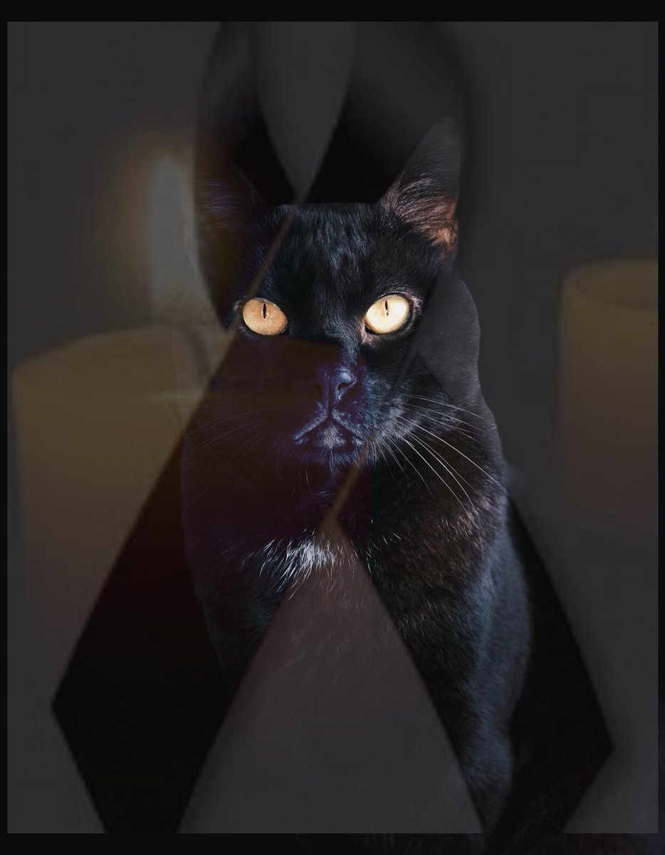 edits_twich's tweet photo. @auronplay Don Gato, siempre en nuestros corazones <3 https://t.co/d3LojYfKA1