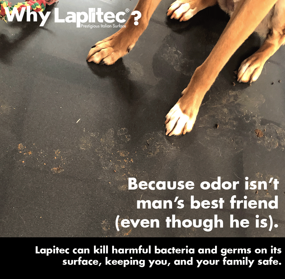 ModernSurfaces tweet media