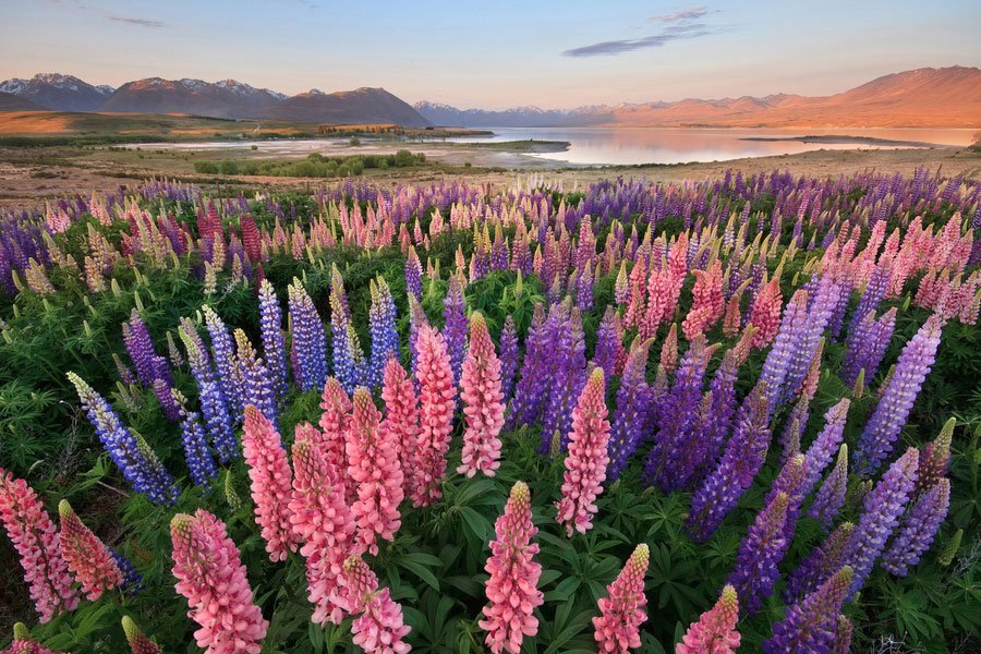 Conduru's tweet photo. ☆♡╓◈╝░H░A░P░P░Y░┖◉【ツ】❀
 ❀╓◈╝░M░O░N░D░A░Y░┖◉┒【ツ】☆♡♡╓◈╝T░W░I░T░T░E░R░L░A░N░D░┖◉┒【ツ】
☆ #Love #JoyTrain ♡💗
#Pray4Peace  #Compassion
 I Declare World Peace 🙏🏼 #kindness #Pray4Children 🙏🏼  #OneLove ✨ #IDWP ❤️ #Blessings 💗 https://t.co/93mPoGjkus