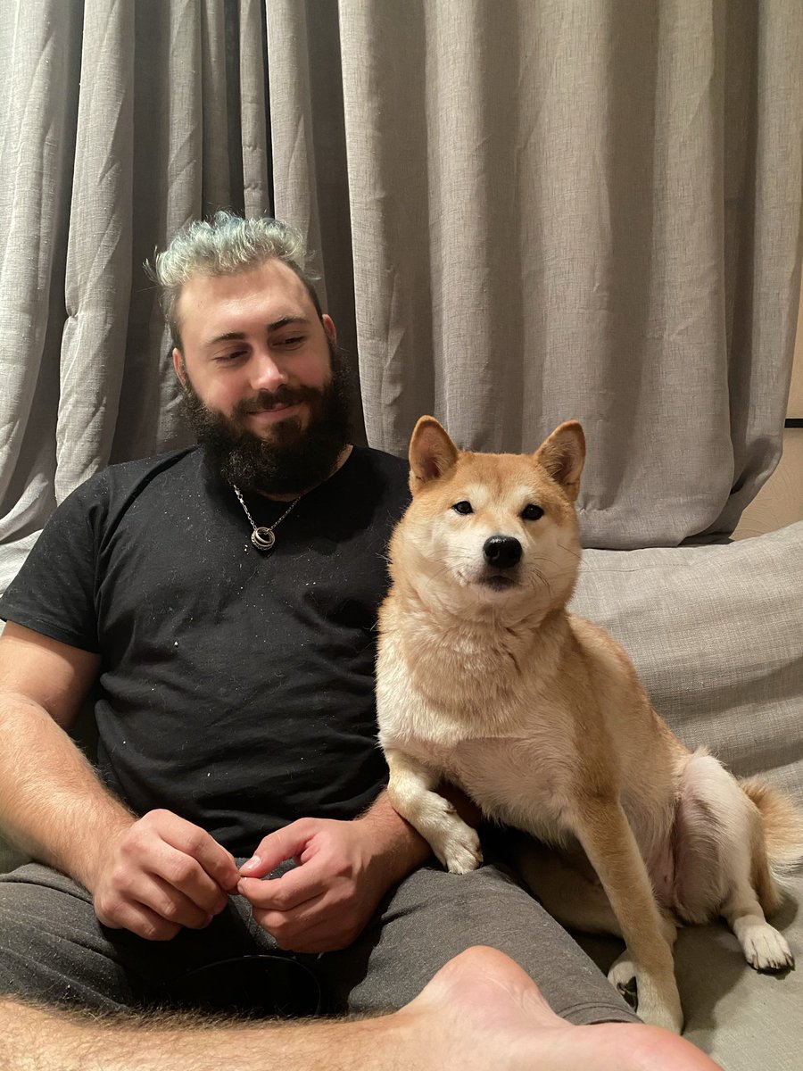 Shiba Ami (@shibaami2) on Twitter photo 