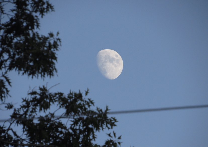 S0METHINGTOGIVE's tweet image. 🌙✨
happy #frantasticmonday