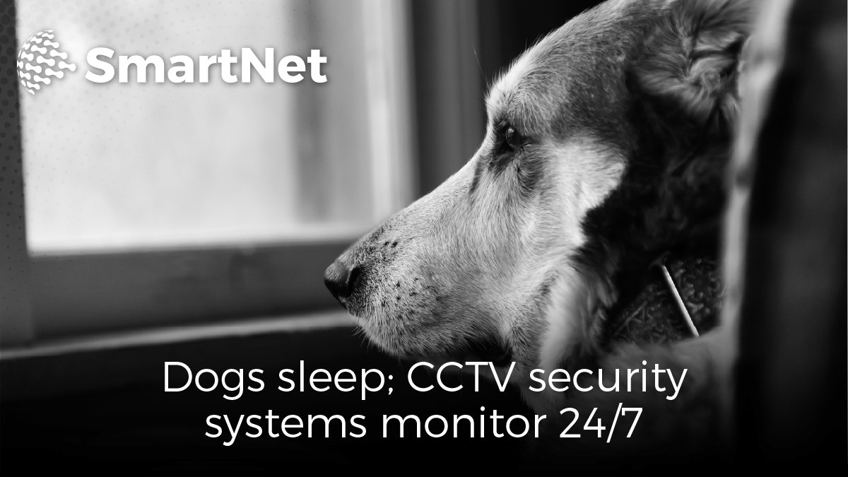 SmartnetNetwork's tweet image. Did you know that most dogs sleep between 12 and 14 hours a day? 
So when your dog is napping, who&apos;s watching your premises?

Contact us for a CCTV installations quote
#homesecurity #security #cctv #surveillance #securitysystem #securitycamera  #technology #homeautomation