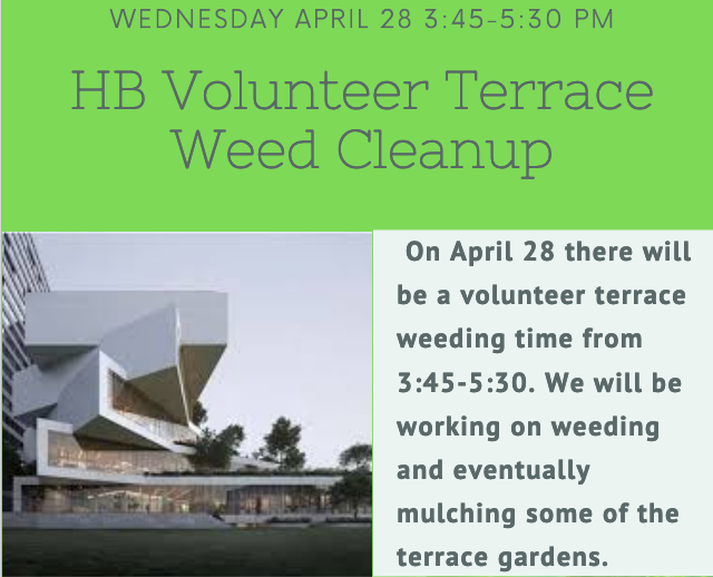 Hbwlibrary's tweet image. 🌱🌿😷Help weed the terraces, students @HBWProgram! Wednesday, 28 April '21, starting 3:45-- an outdoor Green Club event that can bring our virtual students onto campus. Fresh air! Bring water, sunscreen, a trowel, gardening gloves... More at HBW home page. #APSGreen @hbw_mike