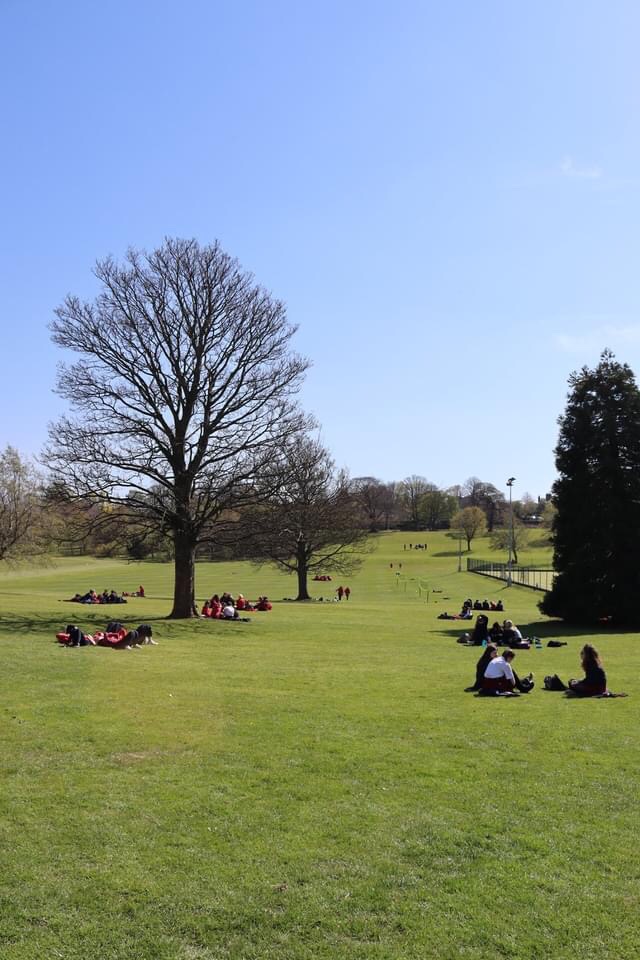 esm_edinburgh's tweet photo. Our pupils at MES were jumping for joy to be back together again last week at our Ravelston campus, where Spring has definitely sprung!☀️🌷🌼

Thank you to Mrs Horrix for sharing these lovely pictures with us!🤩 https://t.co/1MoEGQJwZx