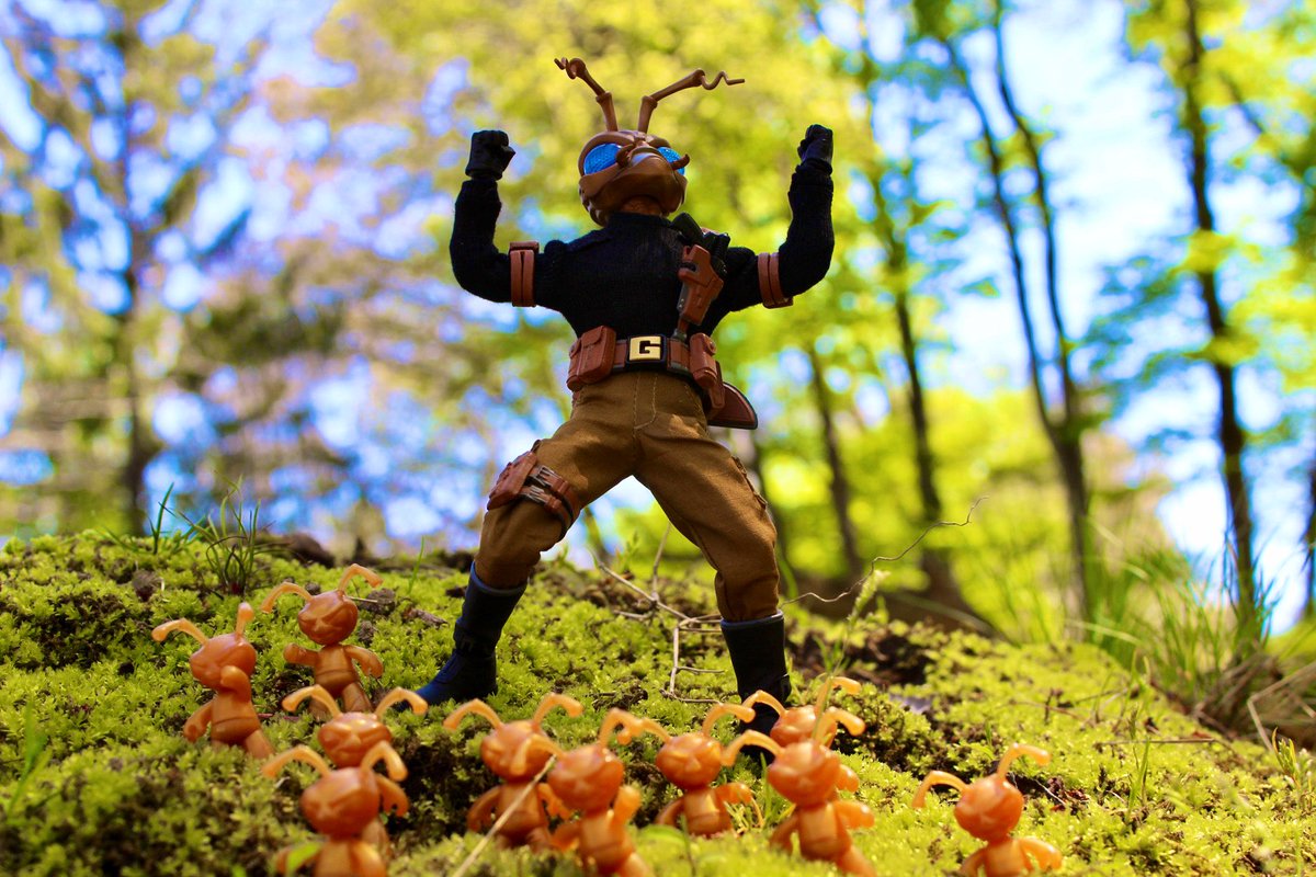 CobraShadowJoes's tweet photo. Some @mezcotoyz #Mezcomondays #GoldCommander hunt #Gomez #Monday https://t.co/LQJO8dxeUL