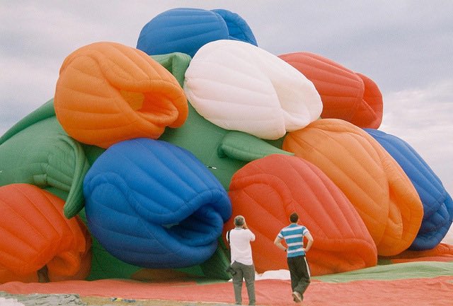 cannot stop thinking about this tulip bouquet hot air balloon