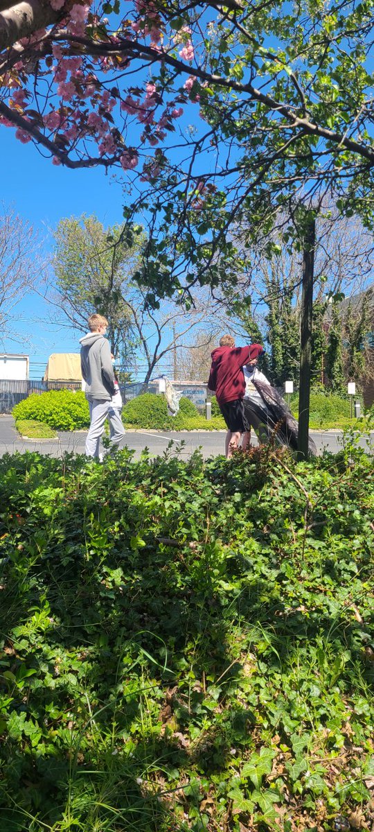 Another successful day of picking up garbage!  36 lbs for a total of 48lbs...half way there, two more class groups to go!  Who will be big winner? Way to go!!! #mneolaproud <a href="/mineolahs/">Mineola High School</a>