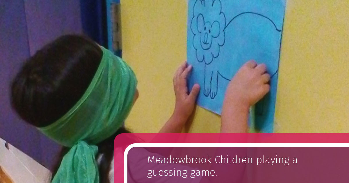 Meadowbrook Children playing a guessing game.  #childrengames #parklandplayers #reggioemilia #preschool #daycare