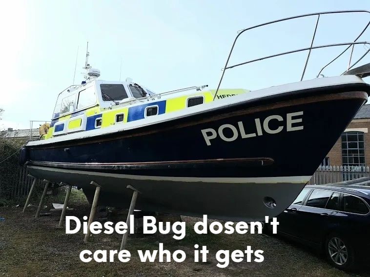BoatUk's tweet image. Diesel Fuel Cleaning BugBuster.biz