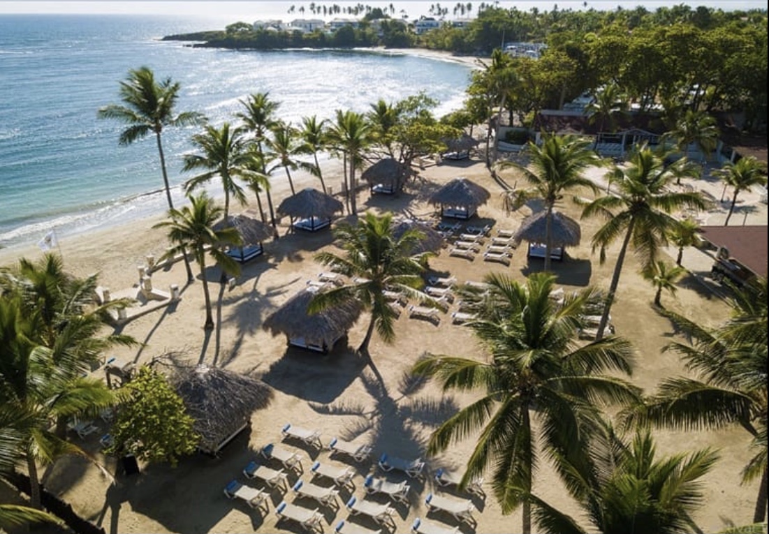 sandsofluxury's tweet image. Take some time to enjoy your surroundings. 🌴