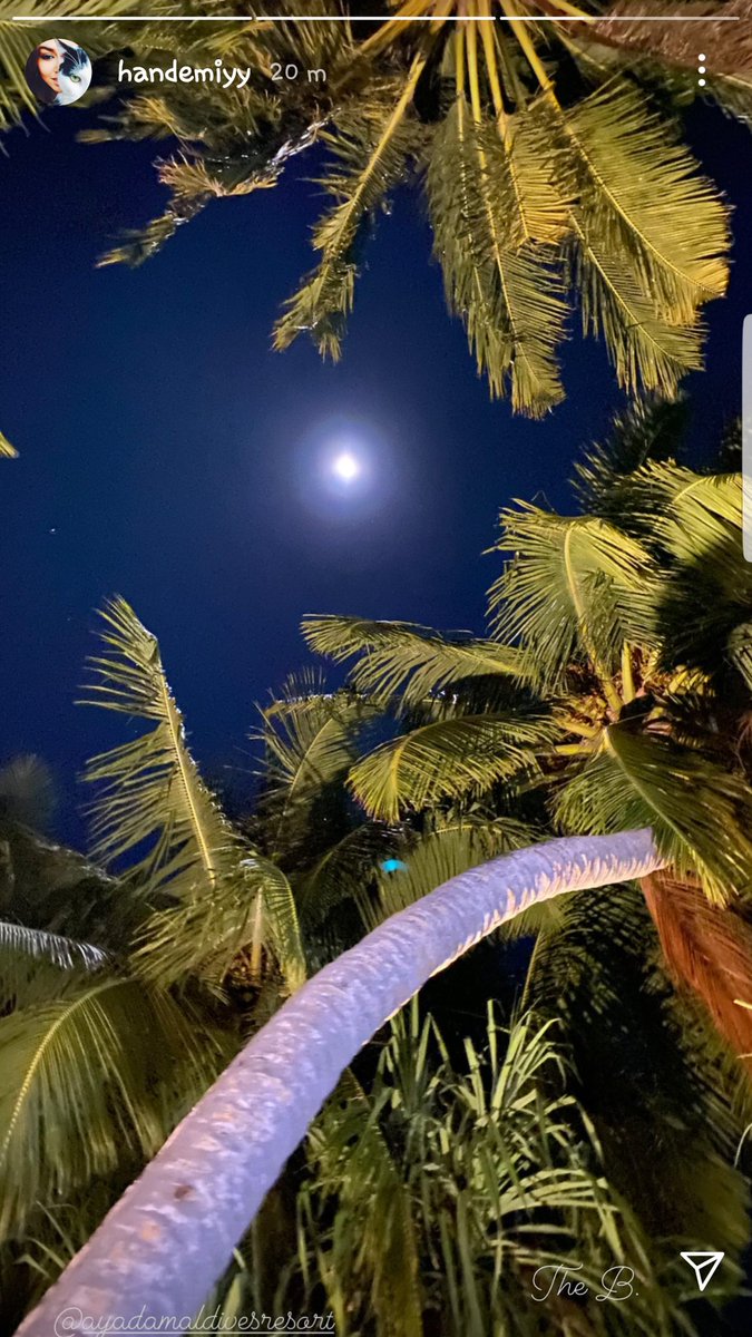 23/April/2021 - The B.The famous one and a half word that went trending! Lil fact: in arabic, when we say someone looks like the moon, we mean that he has an astonishing beauty."متل القمر"