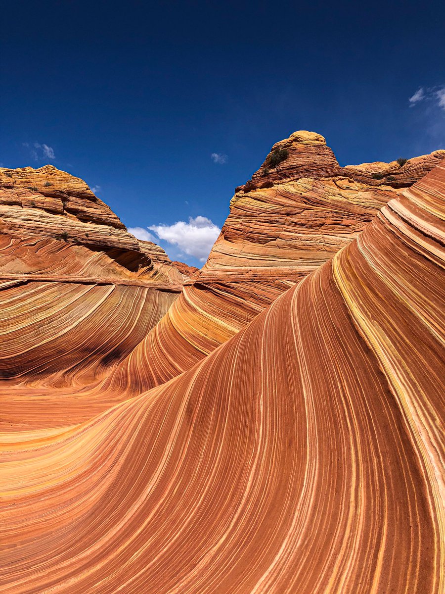 Had the privilege of hiking one of my dream trails this past weekend and now I can’t stop thinking about croissants. 🥐🥐🥐