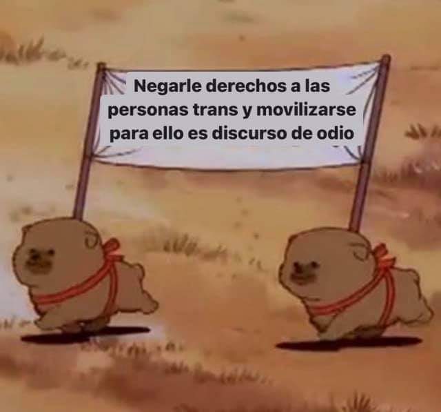 DescocadoP's tweet photo. Buenos días a todxs.
Les comparto un mensaje importante para comenzar la semana con mucha fuerza para seguir pateando jaulas y defender el derecho a una vida digna, libre de discriminación y violencia.
#Podcast #podcastenespañol #Trans #transexual #transgénero #TransMemoria https://t.co/qiaR32s3Hx