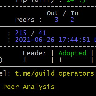 PoolEternity's tweet image. Congratulations to all the delegators at Eternity Pool we minted our first block! #Cardano @Cardano @CardanoStiftung Thank you tremendously @InputOutputHK and @IOHK_Charles and all of the wonderful engineers who have made this possible!