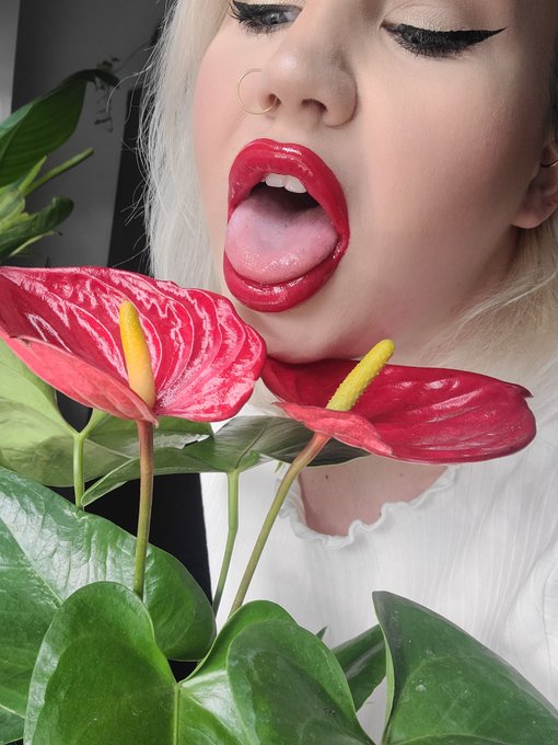 1 pic. Like my new plant? https://t.co/kjgq2dEUQu
