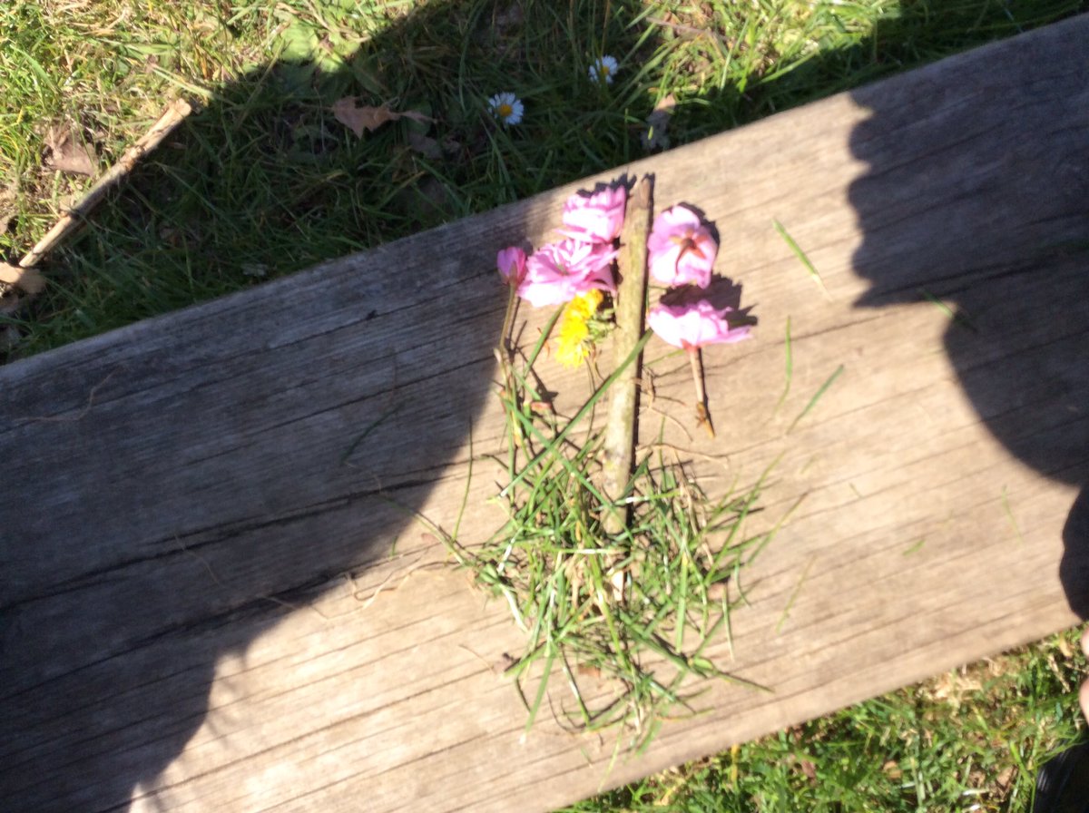 NectonY1's tweet image. In science we are looking at parts of a plant. We went outside today and used natural materials to make flowers. We discussed what each part was (leaf, stem, root and petal) and talked about the job that each part has.