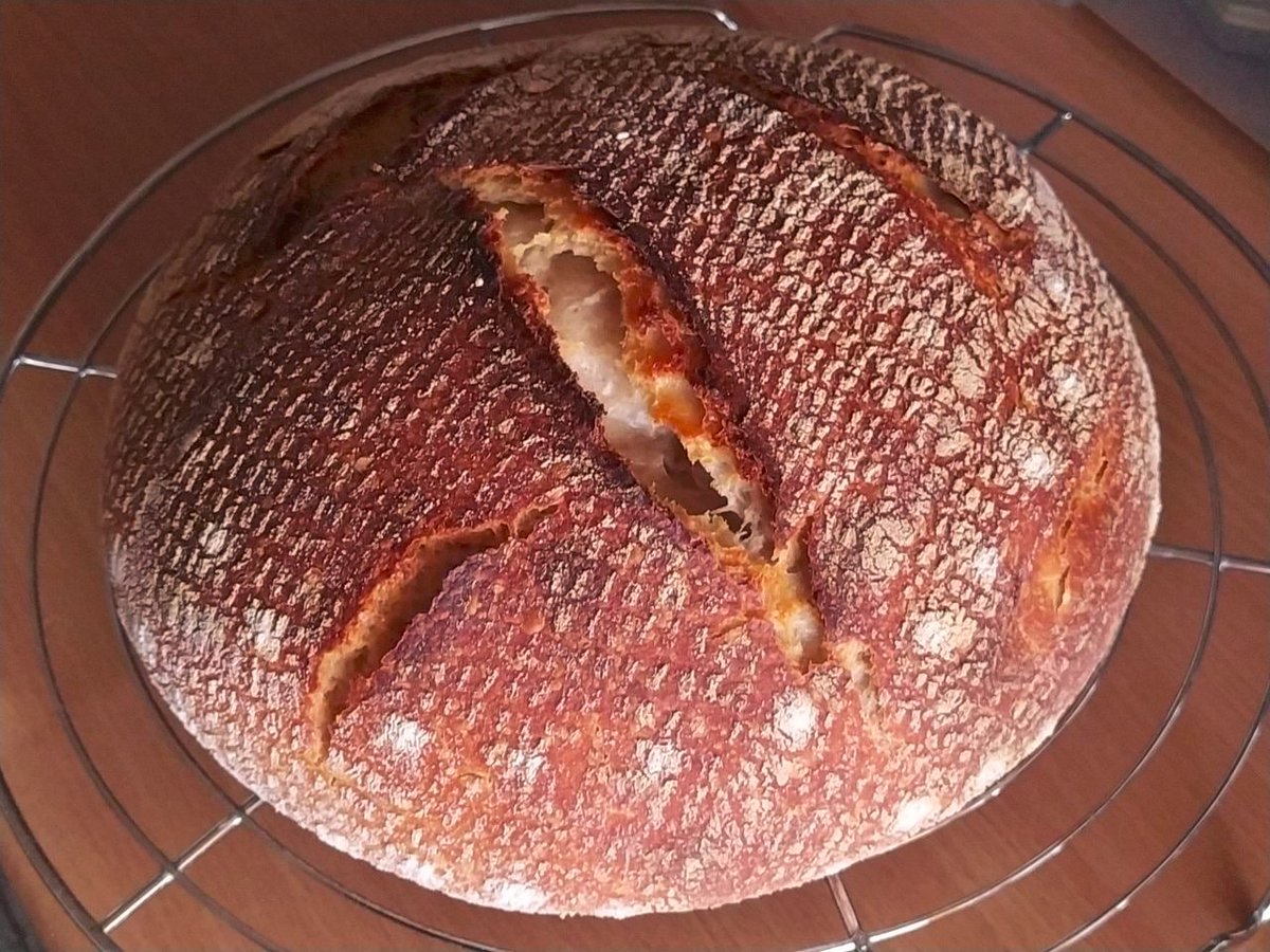 MisterHW's tweet photo. #breadposting https://t.co/09F5bNToYn