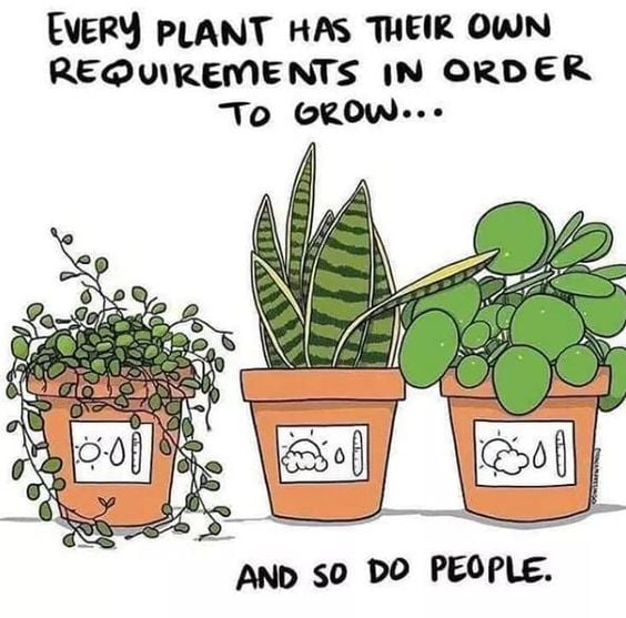 I'm thinking about destreaming grade 9 math for next year.... so much to learn/change/dismantle.