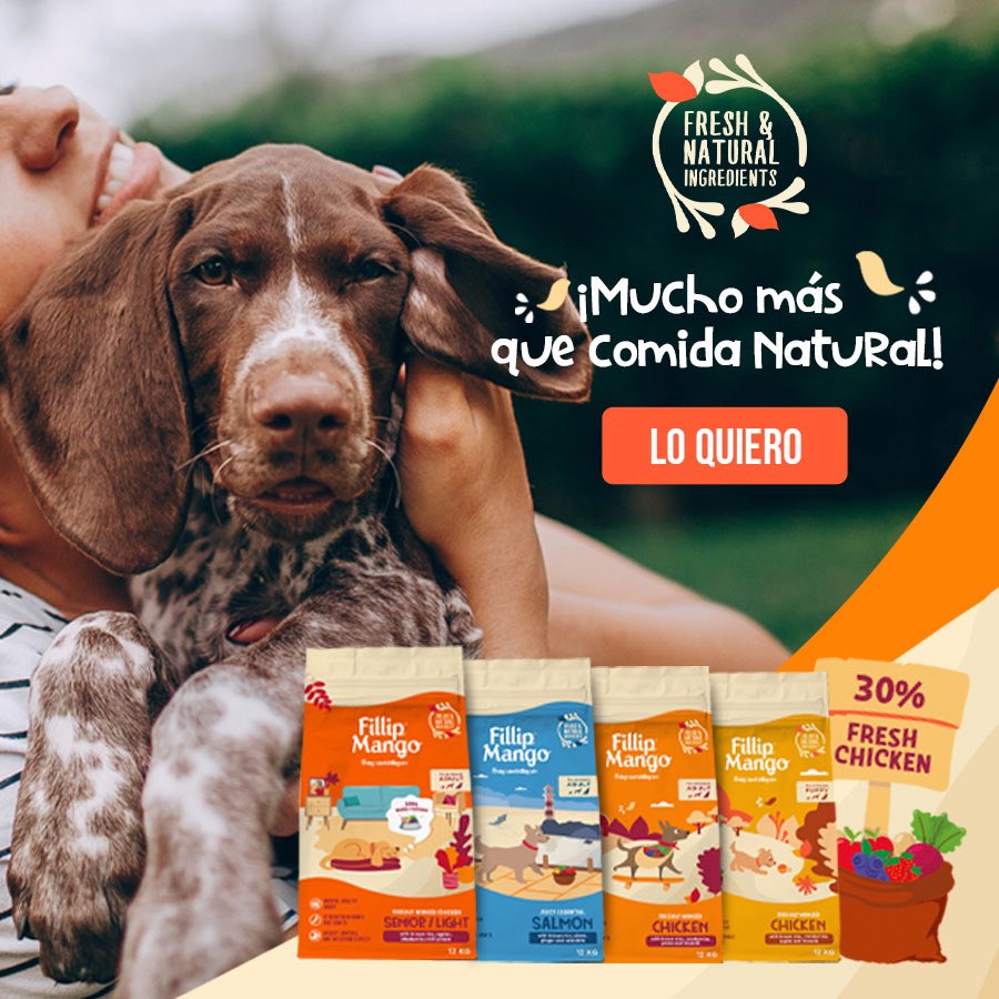 Nuestro rollo no son las razas, tamaños o apariencias; nuestro rollo es la alimentación natural 🌿 que tú y tu perro merecen 😎🐕

Menciona a un amigo en los comentarios y desbloquea 🔓 un 15% de descuento en tu compra

- Atte: #FillipMango 🧡