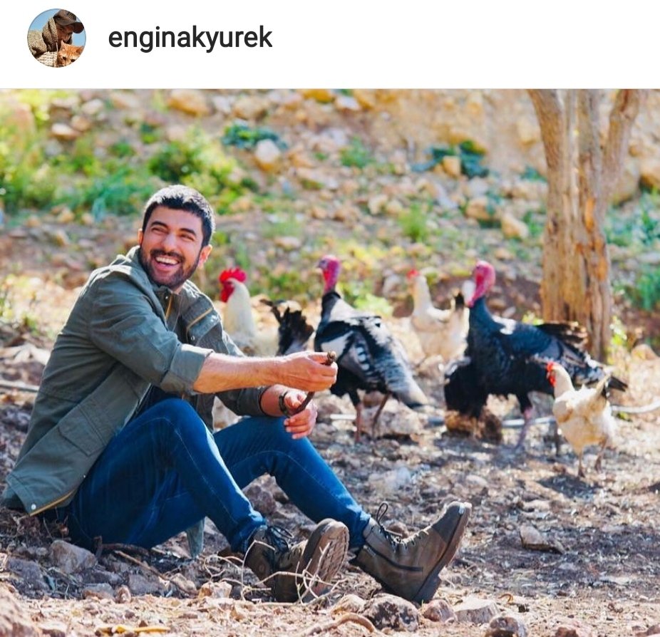 It's not bad here either!
instagram.com/p/COIgUjgFV1g/…