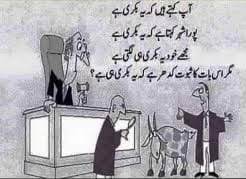 QamarMohsin's tweet image. Bitches of riches.......#قانون_نہیں_اندھاقاضی