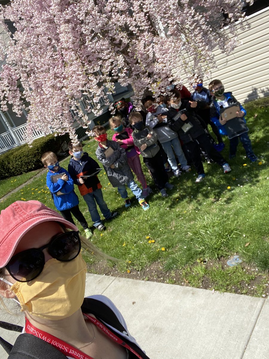 MissDillon12's tweet photo. For Fun Friday the class took a nature walk around the neighborhood. They captured pictures of plant parts on the iPads to guide a discussion today on plant parts and their functions. #WSScares #tinypanthers https://t.co/5peKquVS1p