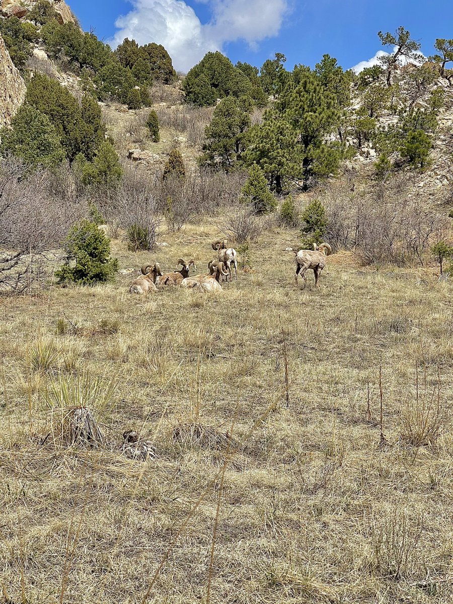 Flow_Jetty's tweet image. Garden of the Gods