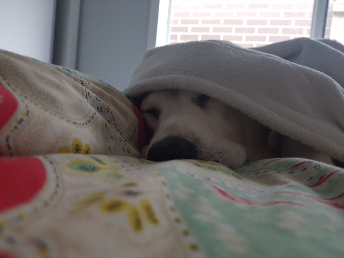 First day in the new house woo!