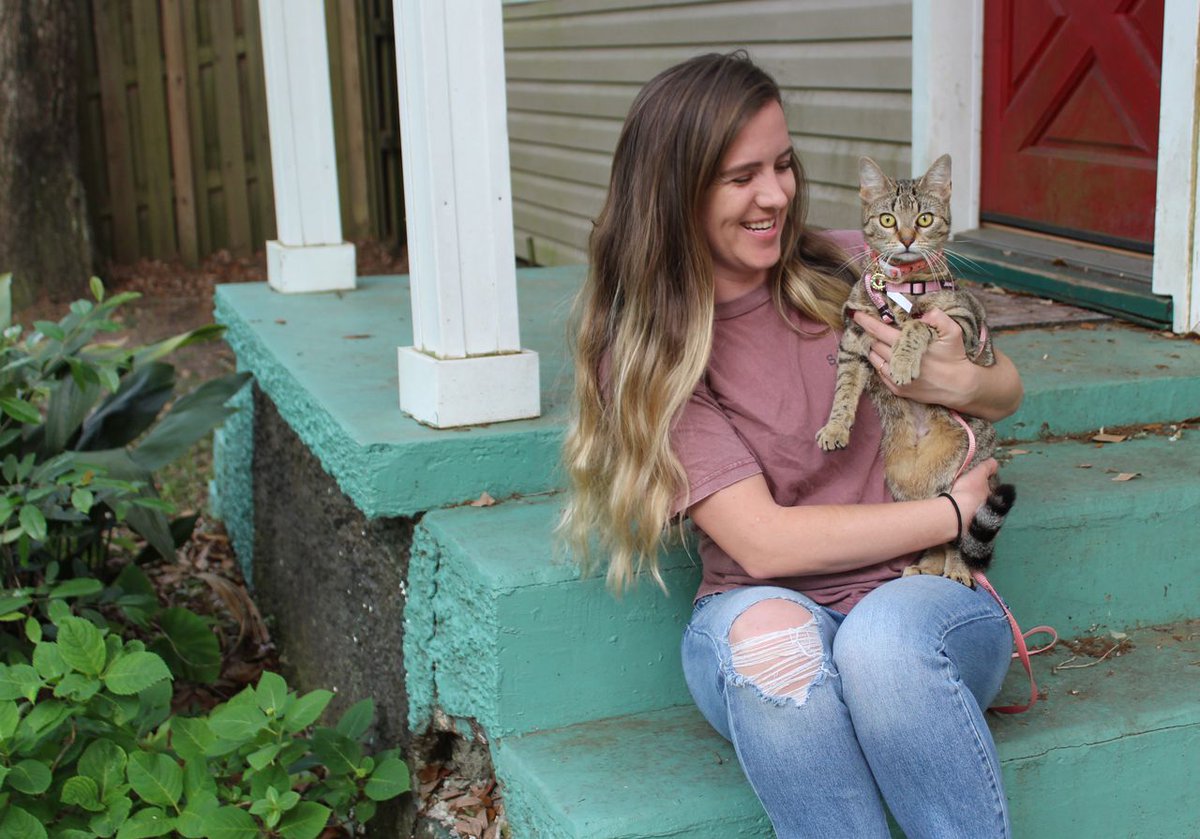 aldotcom's tweet photo. An adventurous cat logged 5,000 miles aboard a stranger’s truck. https://t.co/MvzWZda5bl https://t.co/n2SdRFTUSd