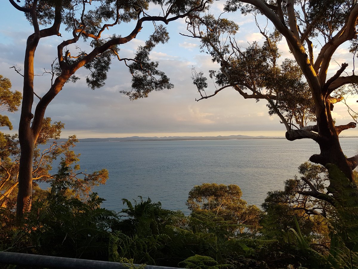 Beautiful Nelson Bay welcoming us for a week of #oysterscience at #icsr2021. Looking forward to those great talks!