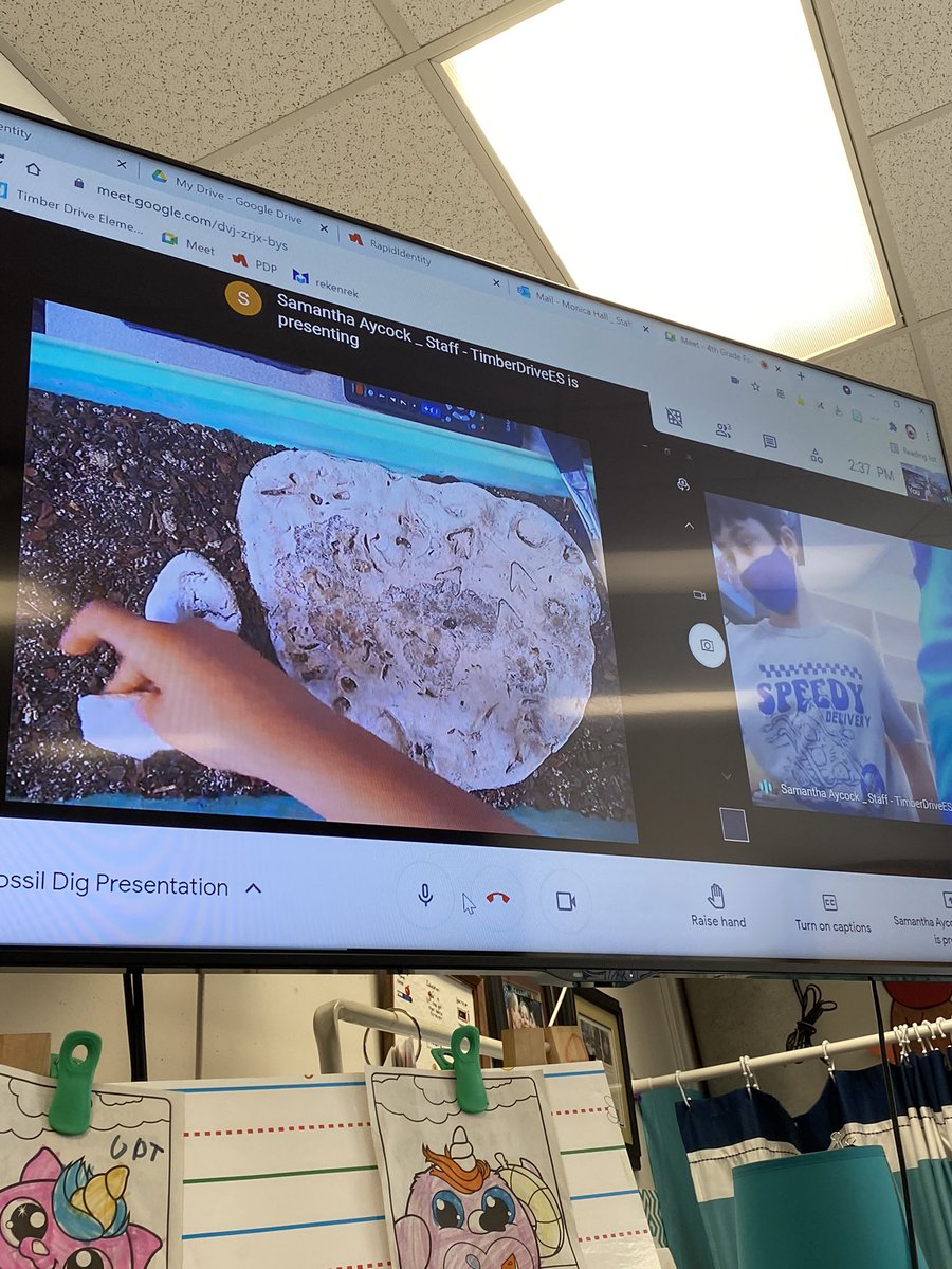 TimberDriveES's tweet photo. We’re really “digging” your fossil identification skills @MissAycock class! We definitely have some future archeologists @TimberDriveES. Thanks to @garner1229 for providing feedback! #BeThePACKLeader #4Cs https://t.co/c0D4WxdeeW