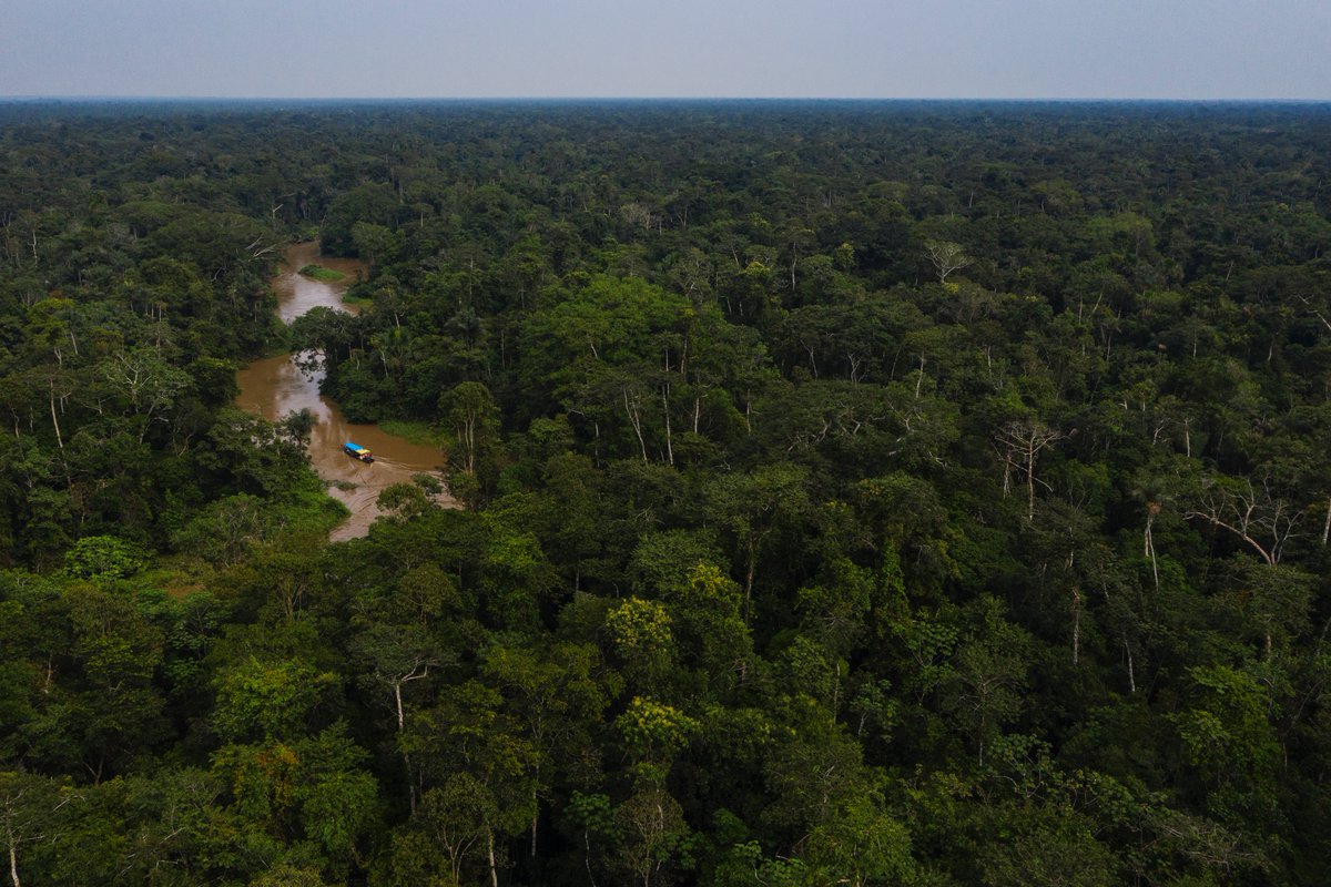 A new highway project in the Amazon would cut through the heart of one of Brazil's most biodiverse parks, cut in half the territories of 10 indigenous communities in Peru &amp; become a bridge for the illegal activities of loggers and drug traffickers.  bit.ly/2Qx41jP