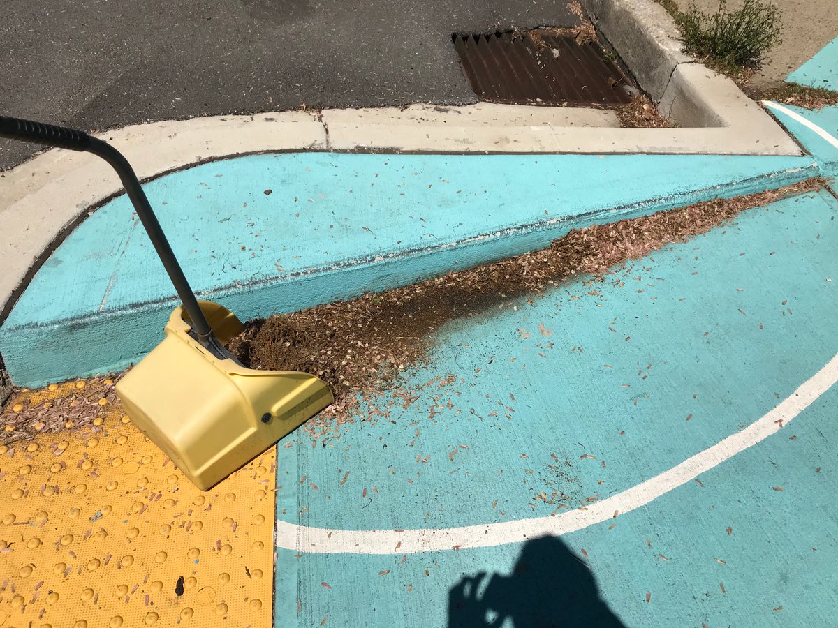 elipousson's tweet photo. I think I've already filled three buckets with trash and misplaced tree debris today. Day 26 of #30daysofpickinguplitter https://t.co/vC9fCi3Gf7