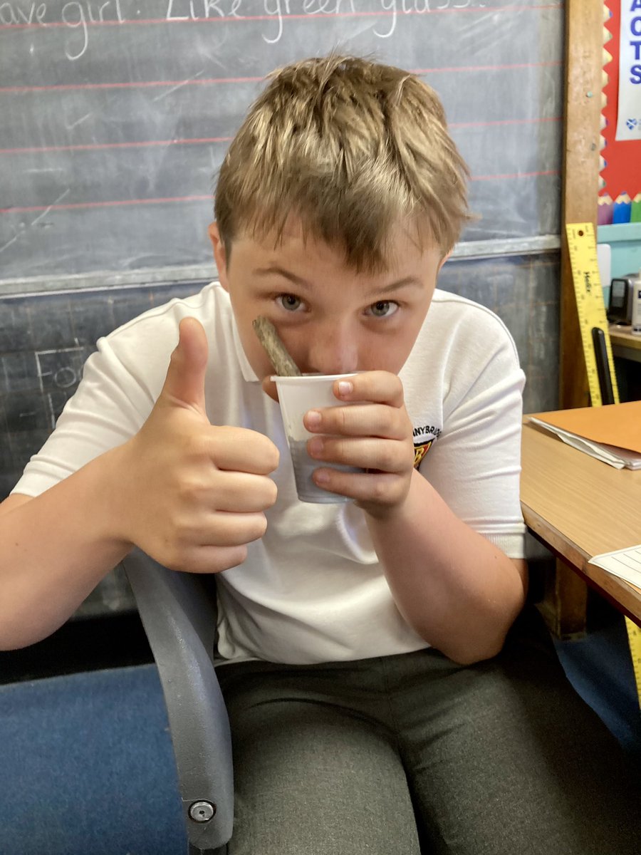 BPSMsMacCallum's tweet image. P7S are busy working towards their bronze award in the #rspbwildchallenge . Today, we made smelly cocktails to reflect our school outdoor environment. #outdoorlearning #experiencenature @Natures_Voice @BonnybridgePS