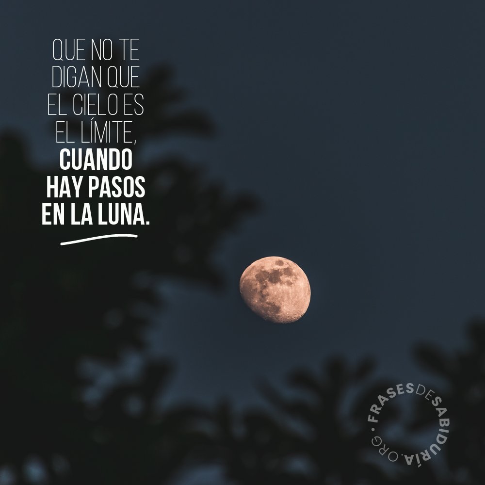 El momento de emprender el vuelo es ahora. Descubre las mejores frases en:  https://t.co/Tf98Zm5xaS #Frases #SerMejor #Vida #Persona #Éxito # Perseverancia #Actitud #Superación #Actitud #Recomendación #Sabiduría  #Motivación, image size:1000x1000