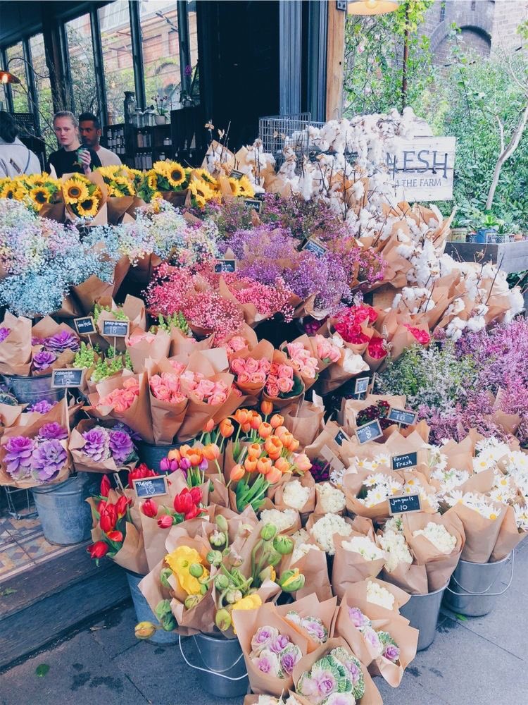 fairiejewels's tweet photo. https://t.co/fPqrhTYLku