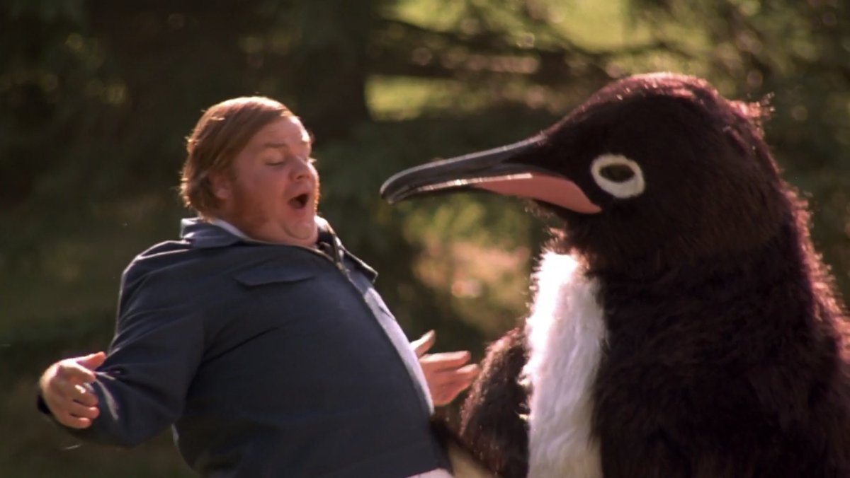 But the most incredible thing I learned while making this important piece of journalism is that Sean Lett, the oldest O'Doyle, later became good friends with  @MeiDayTWN, who was one of the guys in the penguin costume: