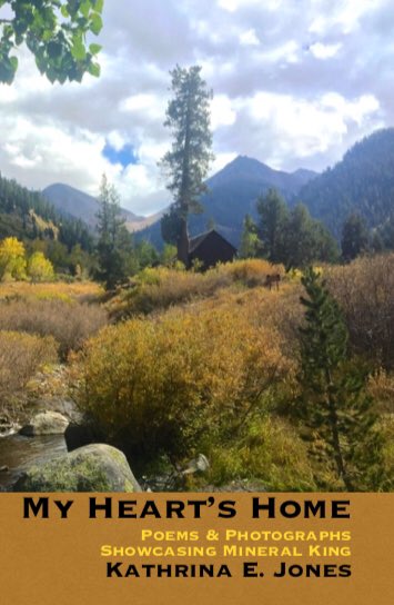 I now have a link to purchase my poetry collection! 
tinroofpresspublishing.company.site
I am being stubborn and not working with Amazon, so it’s a little hokey—but it works. #TurtleWriters #Poetry #WritingCommunity #PoetryMonth