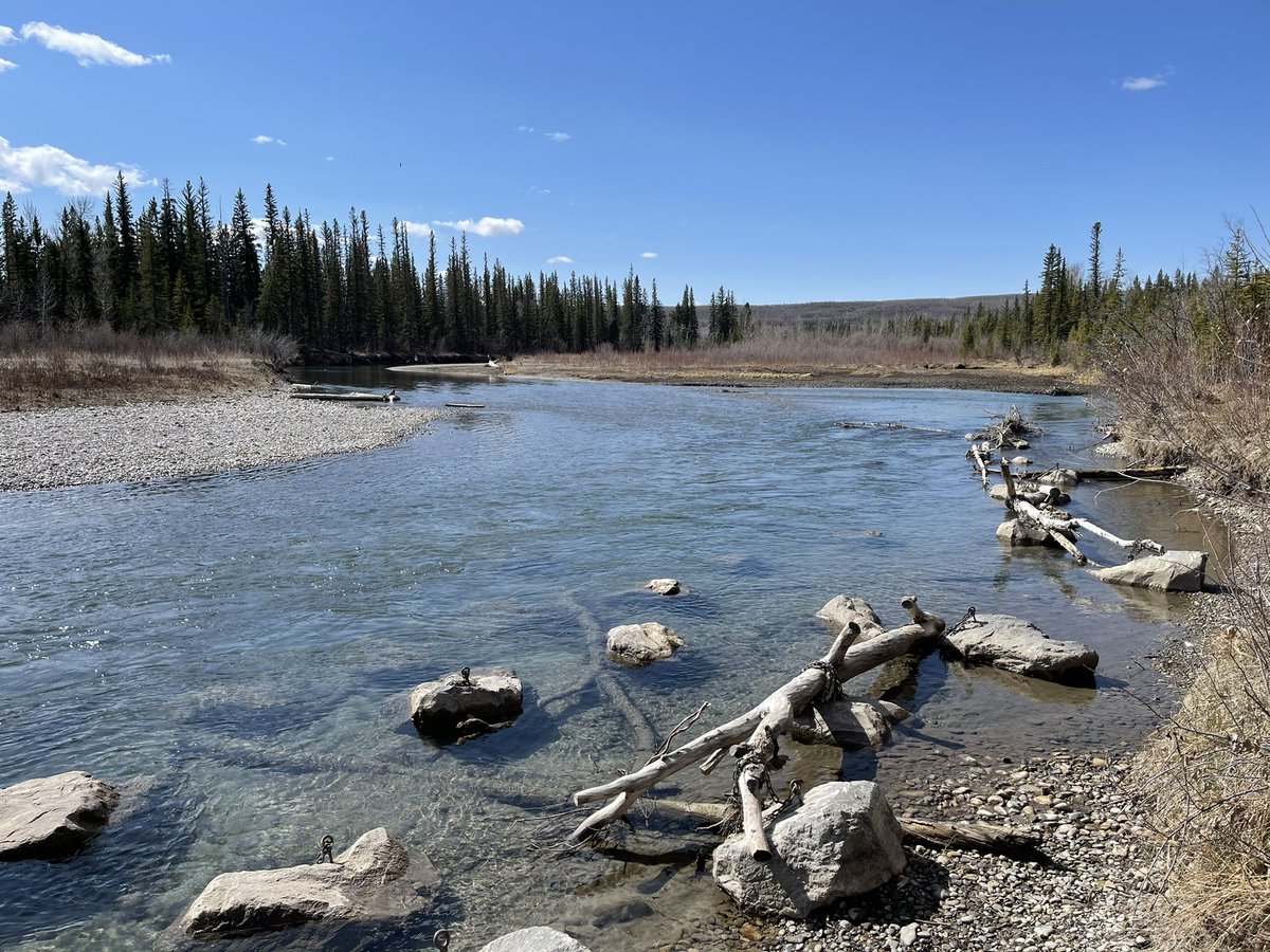 Court Rustemeyer tweet media