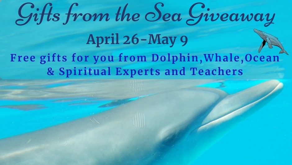 annika_ek's tweet photo. My good friend, Dolphin Ambassador and Whale Wisdom Expert, Anne Gordon, has put together an impressive group of spiritual, ocean, dolphin, whale and mermaid connecting FREE gifts just for you.⁠
https://t.co/Ugfh8DxeOB⁠
#GiftGiveaway ⁠ https://t.co/tO8j4ER6lq