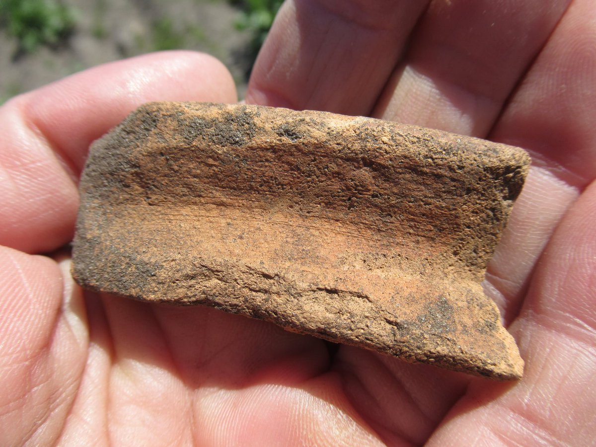 DeBiezen_76's tweet photo. Vanmorgen vond het #proefsleuvenonderzoek in de omgeving van het brongebied van de #Esperloop plaats. Uitgevoerd door de archeologen van @RAAPerfgoed https://t.co/Bjfs4iBZ8O