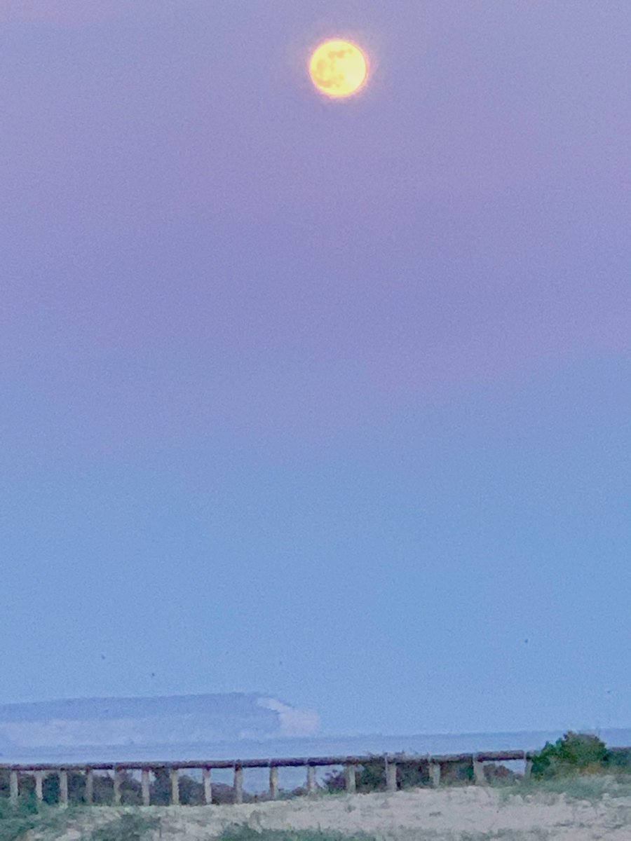 Jo_UHD's tweet image. When you’re the GM on call and there’s a full moon 🌕😬 but you’ve got an awesome team running the show #OpsManager @UHD_NHS #FullMoon
